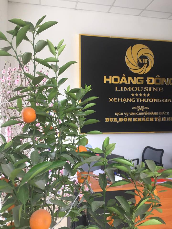 tru so nha xe hoang dong limousine