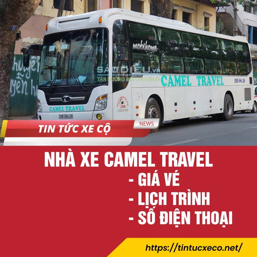 nhà xe camel travel